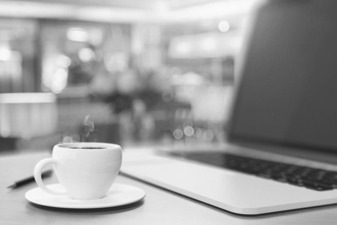 Sesiune interactivă aplicare software SEO